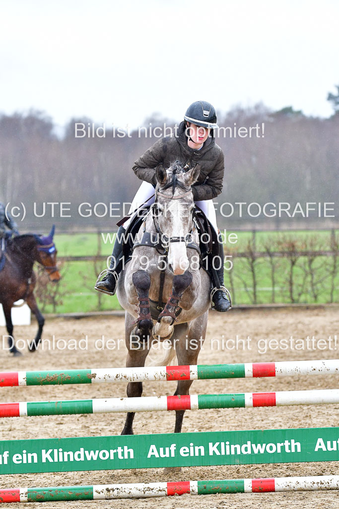 Reitsportzentrum Bremervörde | 070421 Springpferde A++_197 