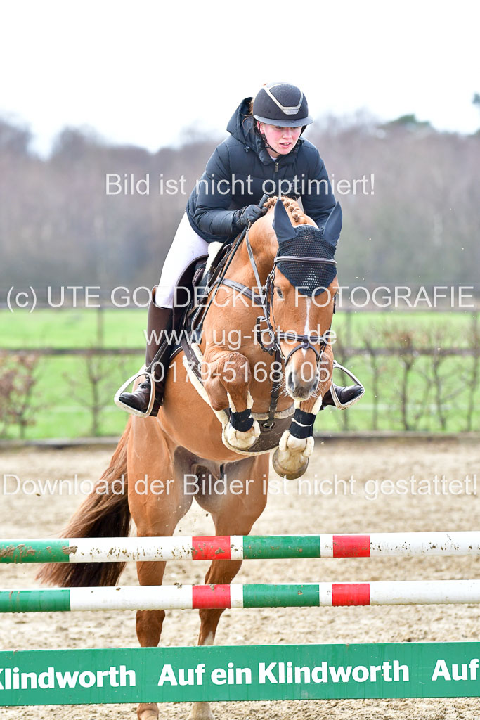 Reitsportzentrum Bremervörde | 070421 Springpferde A++_213 