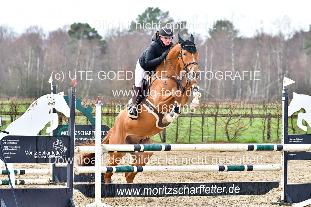 Reitsportzentrum Bremervörde | 070421 Springpferde A++_215 