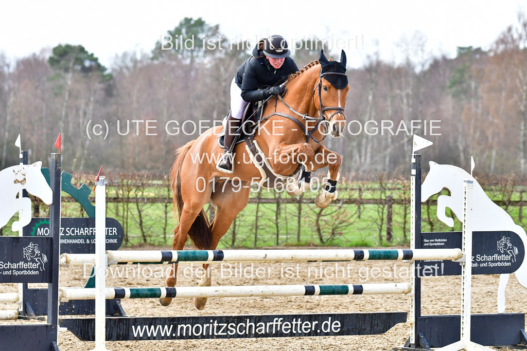 Reitsportzentrum Bremervörde | 070421 Springpferde A++_217 