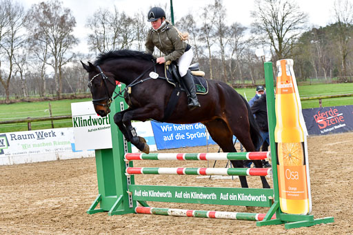 Reitsportzentrum Bremervörde | 070421 Springpferde A++_038 