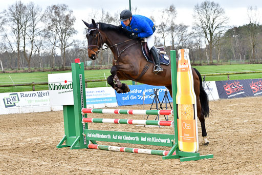 Reitsportzentrum Bremervörde | 070421 Springpferde A++_041 