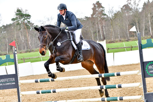 Reitsportzentrum Bremervörde | 070421 Springpferde A++_049 