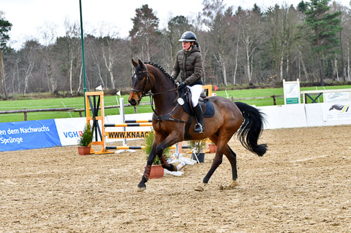 Reitsportzentrum Bremervörde | 070421 Springpferde A++_056 