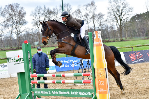 Reitsportzentrum Bremervörde | 070421 Springpferde A++_058 