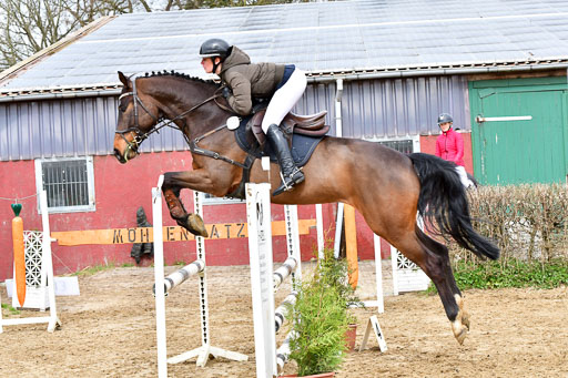 Reitsportzentrum Bremervörde | 070421 Springpferde A++_061 