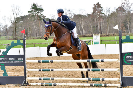 Reitsportzentrum Bremervörde | 070421 Springpferde A++_066 