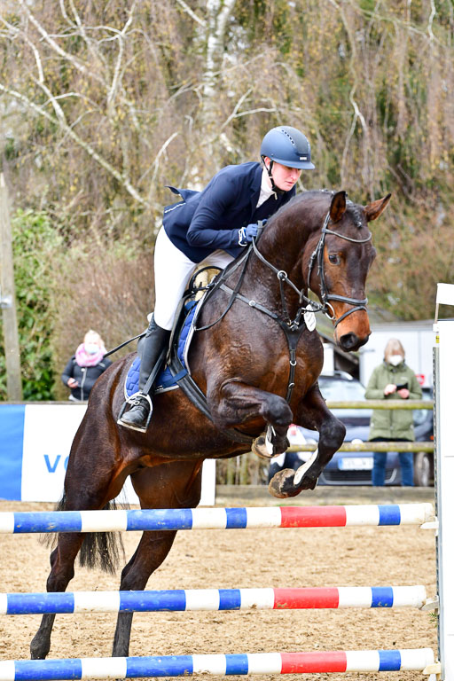 Reitsportzentrum Bremervörde | 070421 Springpferde A++_116 