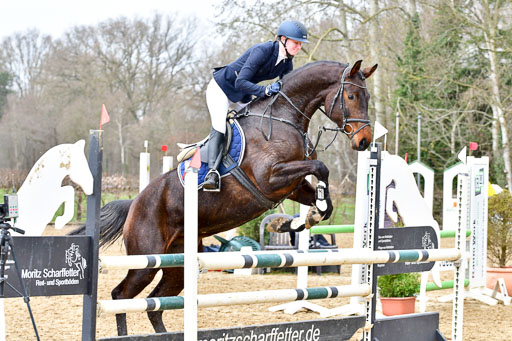 Reitsportzentrum Bremervörde | 070421 Springpferde A++_118 