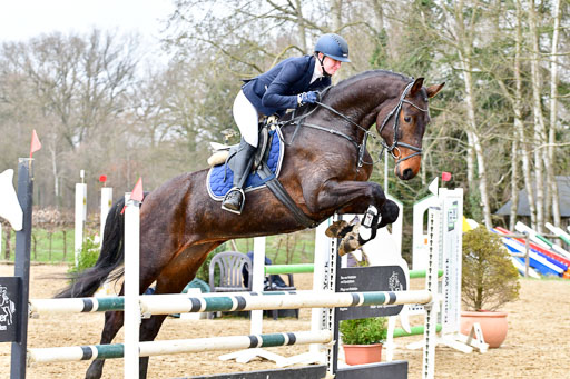 Reitsportzentrum Bremervörde | 070421 Springpferde A++_119 