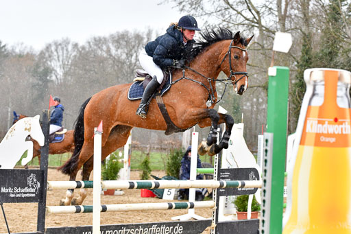 Reitsportzentrum Bremervörde | 070421 Springpferde A++_127 