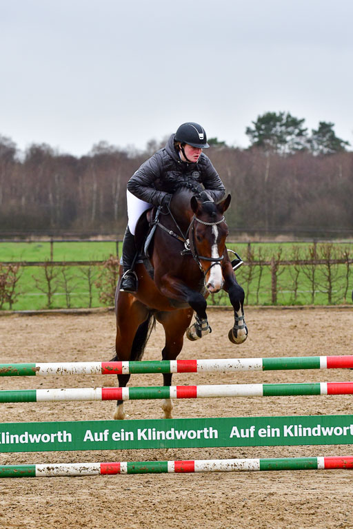 Reitsportzentrum Bremervörde | 070421 Springpferde A++_137 