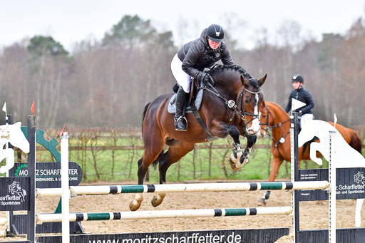 Reitsportzentrum Bremervörde | 070421 Springpferde A++_140 