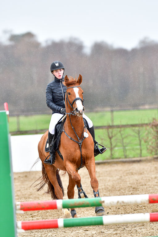 Reitsportzentrum Bremervörde | 070421 Springpferde A++_141 