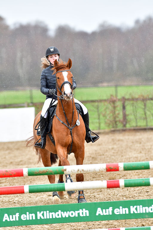 Reitsportzentrum Bremervörde | 070421 Springpferde A++_142 