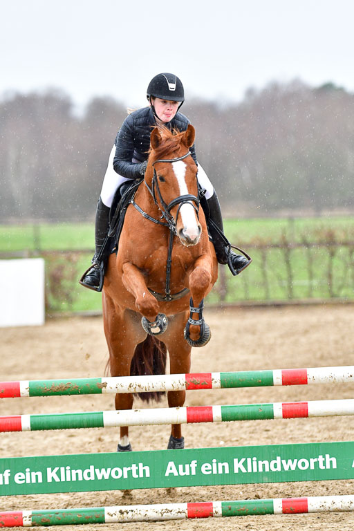 Reitsportzentrum Bremervörde | 070421 Springpferde A++_143 