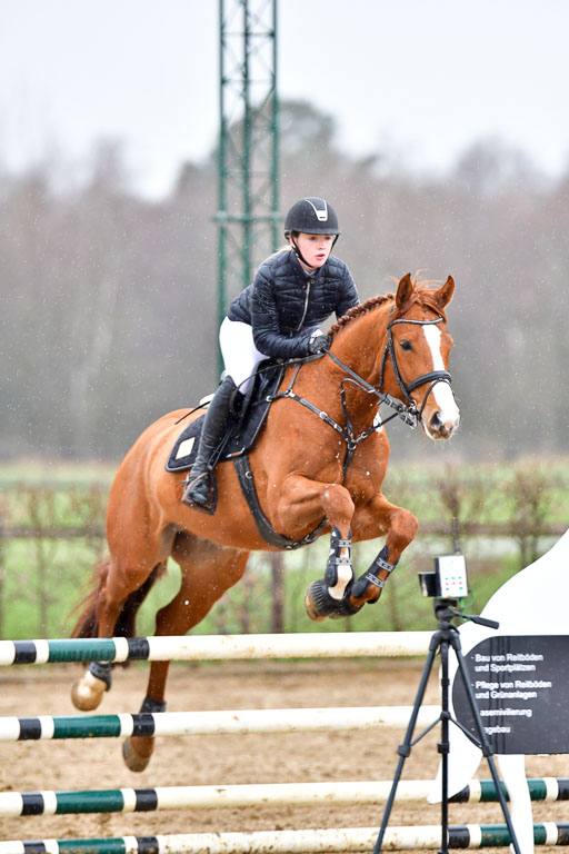 Reitsportzentrum Bremervörde | 070421 Springpferde A++_146 