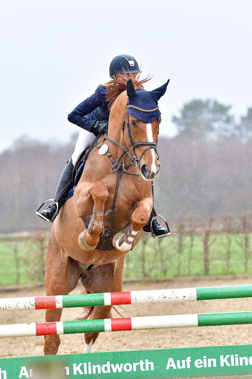 Reitsportzentrum Bremervörde | 070421 Springpferde A++_150 