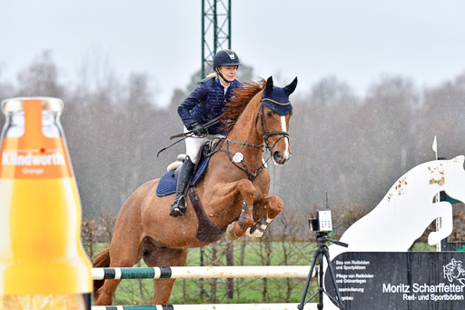 Reitsportzentrum Bremervörde | 070421 Springpferde A++_153 