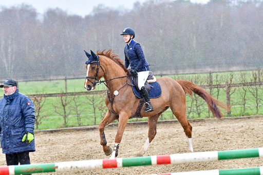 Reitsportzentrum Bremervörde | 070421 Springpferde A++_154 