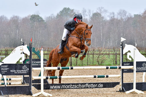 Reitsportzentrum Bremervörde | 070421 Springpferde A++_159 