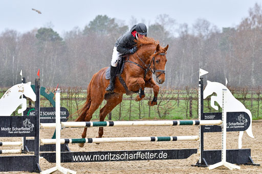 Reitsportzentrum Bremervörde | 070421 Springpferde A++_160 