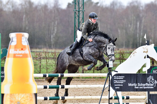 Reitsportzentrum Bremervörde | 070421 Springpferde A++_175 