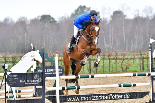 Reitsportzentrum Bremervörde | 070421 Springpferde A++_184 