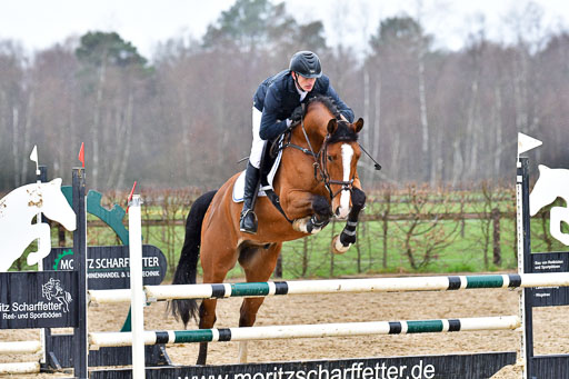 Reitsportzentrum Bremervörde | 070421 Springpferde A++_191 