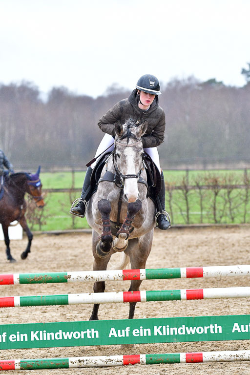 Reitsportzentrum Bremervörde | 070421 Springpferde A++_197 