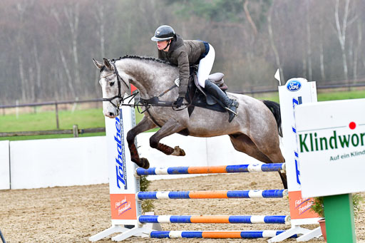 Reitsportzentrum Bremervörde | 070421 Springpferde A++_203 