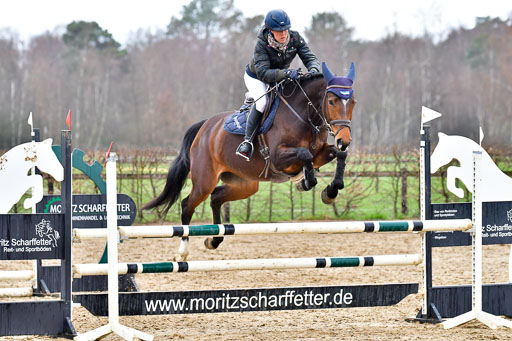 Reitsportzentrum Bremervörde | 070421 Springpferde A++_207 