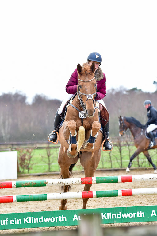 Reitsportzentrum Bremervörde | 070421 Springpferde A++_210 