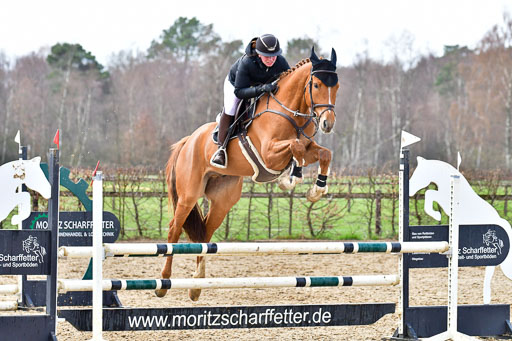 Reitsportzentrum Bremervörde | 070421 Springpferde A++_217 