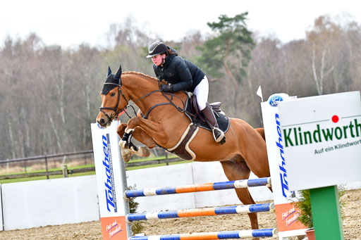 Reitsportzentrum Bremervörde | 070421 Springpferde A++_218 