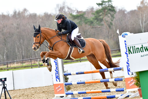 Reitsportzentrum Bremervörde | 070421 Springpferde A++_219 