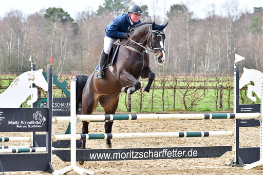 Reitsportzentrum Bremervörde | 070421 Springpferde A++_232 