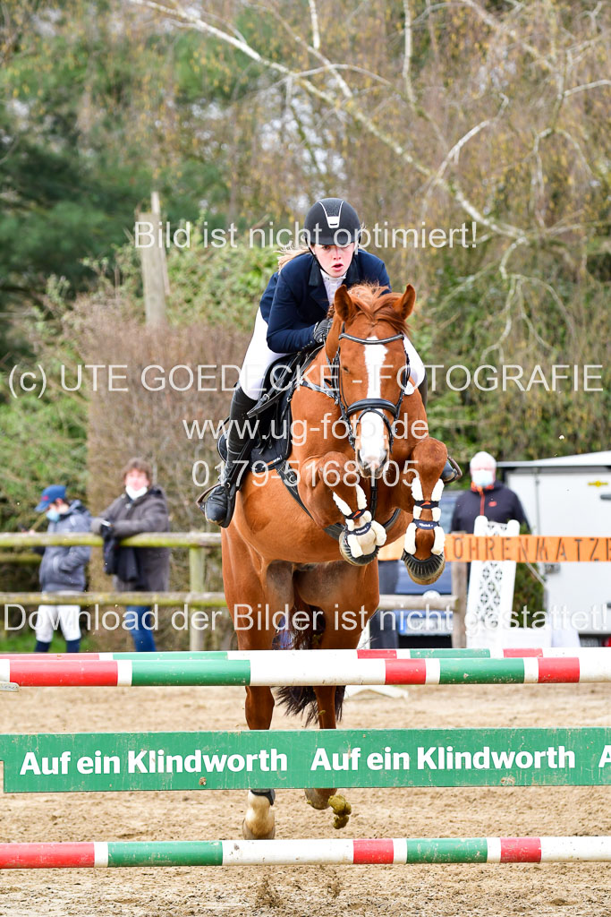  | 10421 Springpferde L_31 