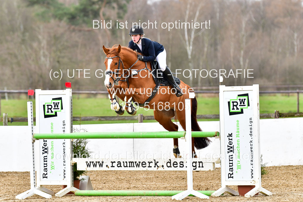 Reitsportzentrum Bremervörde 10.4.21 | 10421 Springpferde L_33