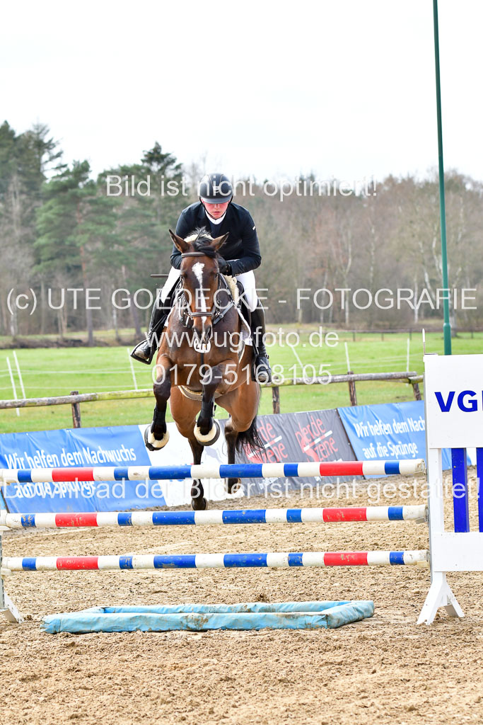 Reitsportzentrum Bremervörde 10.4.21 | 10421 Springpferde L_86