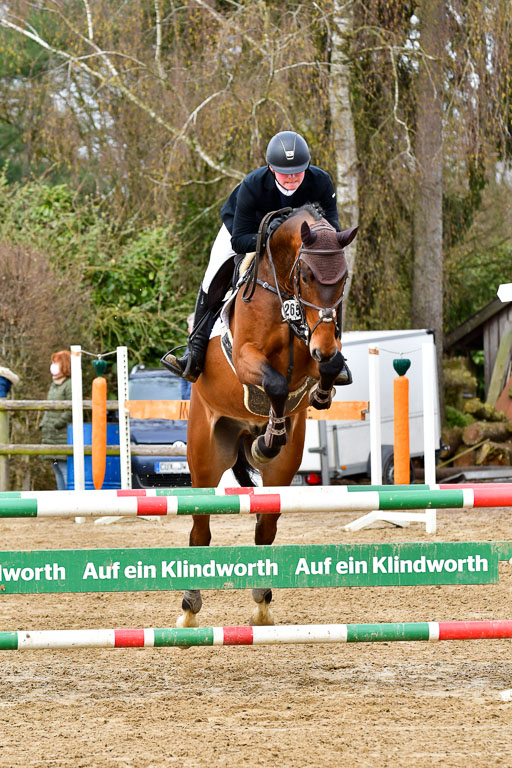 Reitsportzentrum Bremervörde 10.4.21 | 10421 Springpferde L_15 