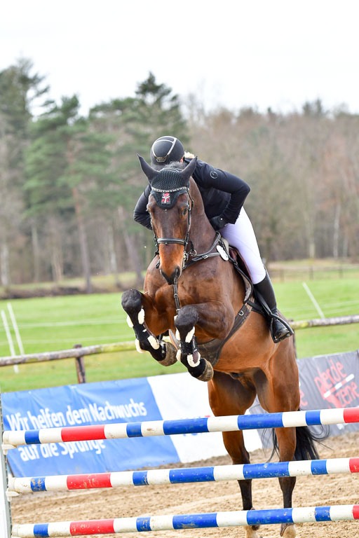 Reitsportzentrum Bremervörde 10.4.21 | 10421 Springpferde L_23 