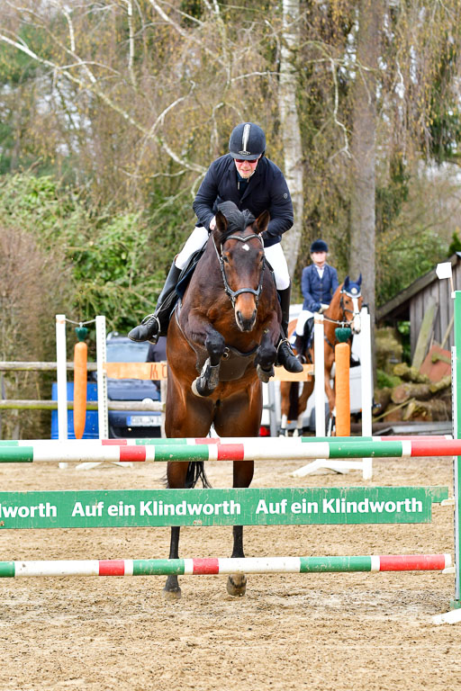 Reitsportzentrum Bremervörde 10.4.21 | 10421 Springpferde L_29 
