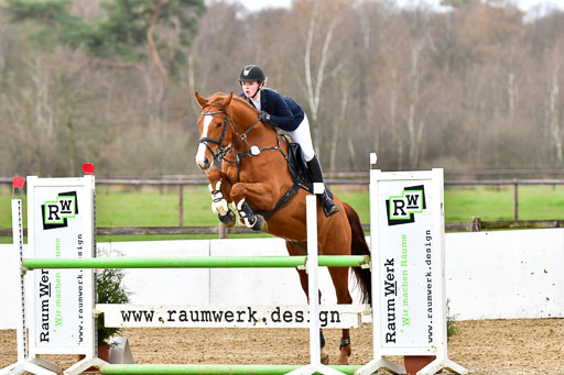 Reitsportzentrum Bremervörde 10.4.21 | 10421 Springpferde L_32 