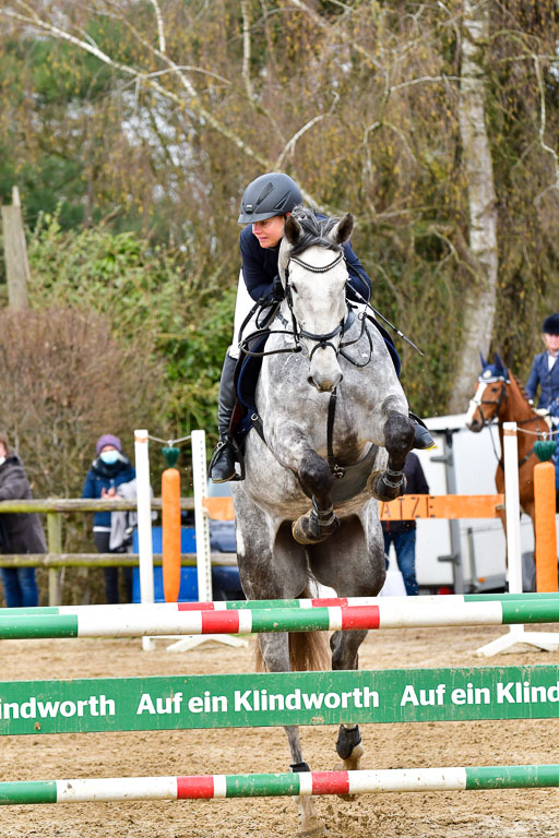 Reitsportzentrum Bremervörde 10.4.21 | 10421 Springpferde L_38 