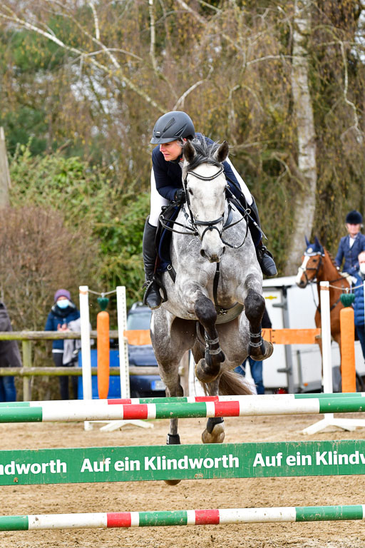 Reitsportzentrum Bremervörde 10.4.21 | 10421 Springpferde L_39 