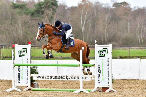 Reitsportzentrum Bremervörde 10.4.21 | 10421 Springpferde L_49 