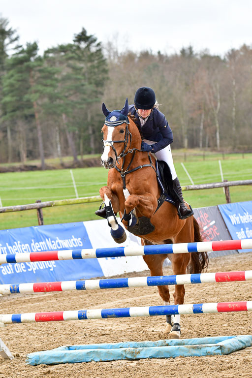 Reitsportzentrum Bremervörde 10.4.21 | 10421 Springpferde L_50 