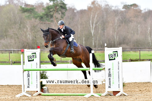 Reitsportzentrum Bremervörde 10.4.21 | 10421 Springpferde L_65 