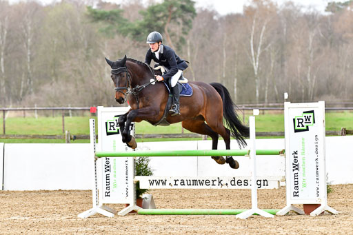 Reitsportzentrum Bremervörde 10.4.21 | 10421 Springpferde L_66 